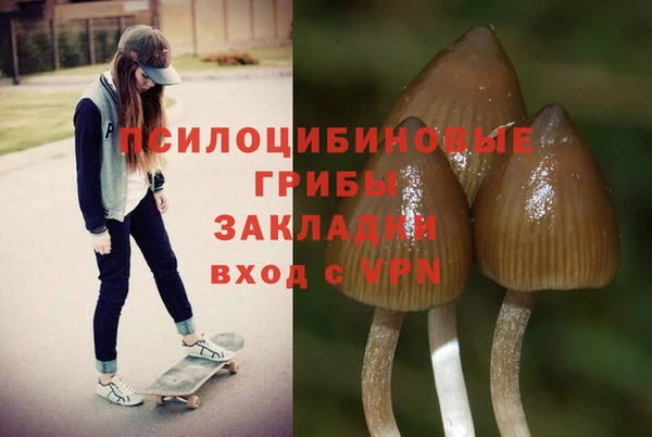 кокаин колумбия Вяземский