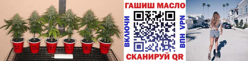 Купить  Саки  ТГК вейп с тгк 