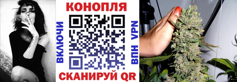 Шишки марихуана планчик  Купить  Саки 